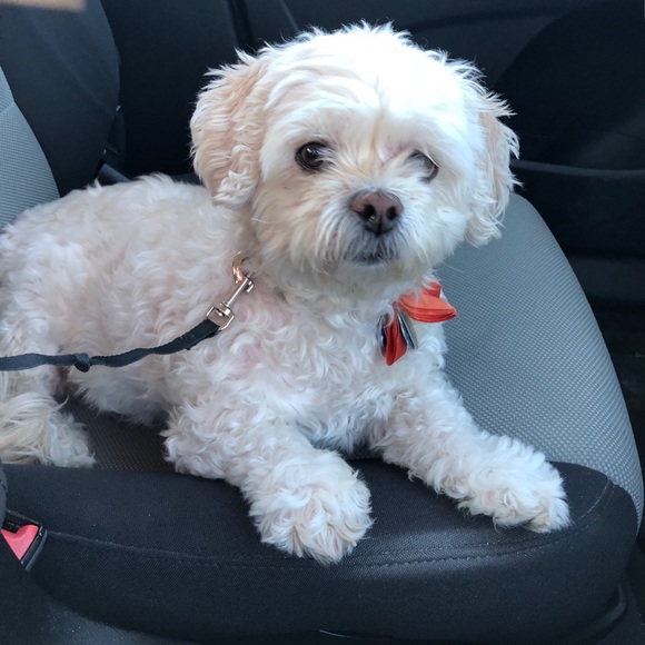 Meet your Posher, Juliana - Picture 1 of 1